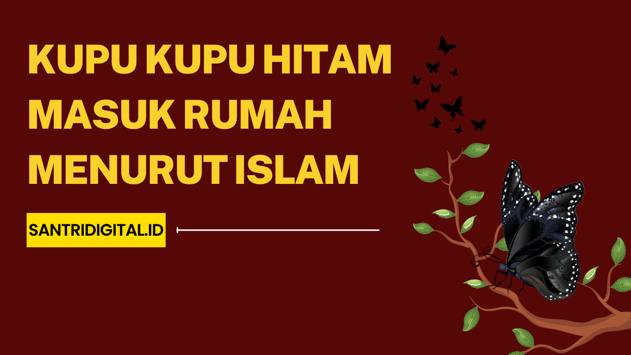 Kupu Kupu Hitam Masuk Rumah Menurut Islam