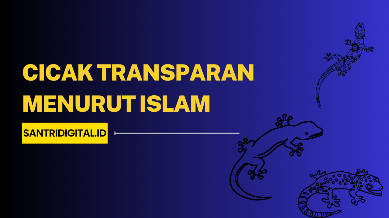 Cicak Transparan Menurut Islam