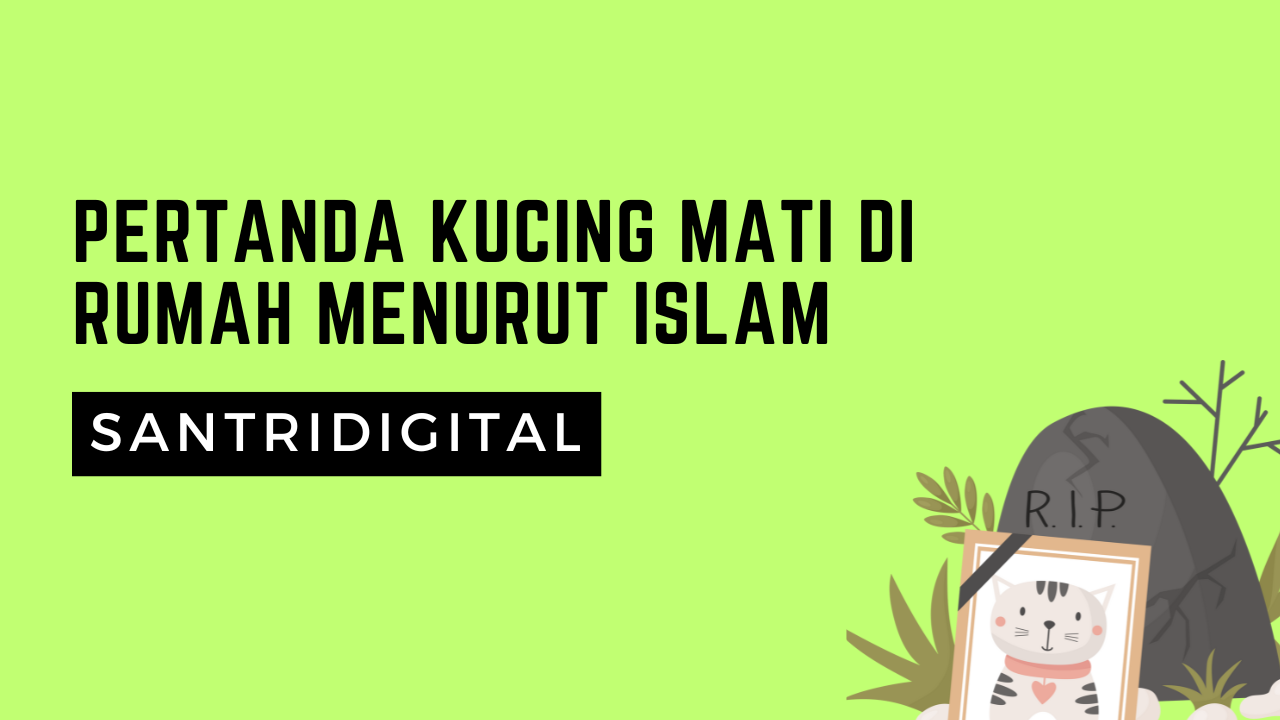 Pertanda Kucing Mati di Rumah Menurut Islam